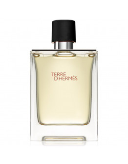 Hermes Terre Hermes - 100ML