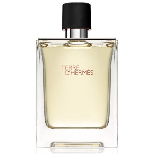 Hermes Terre Hermes - 100ML PRF Hermes Terre Hermes